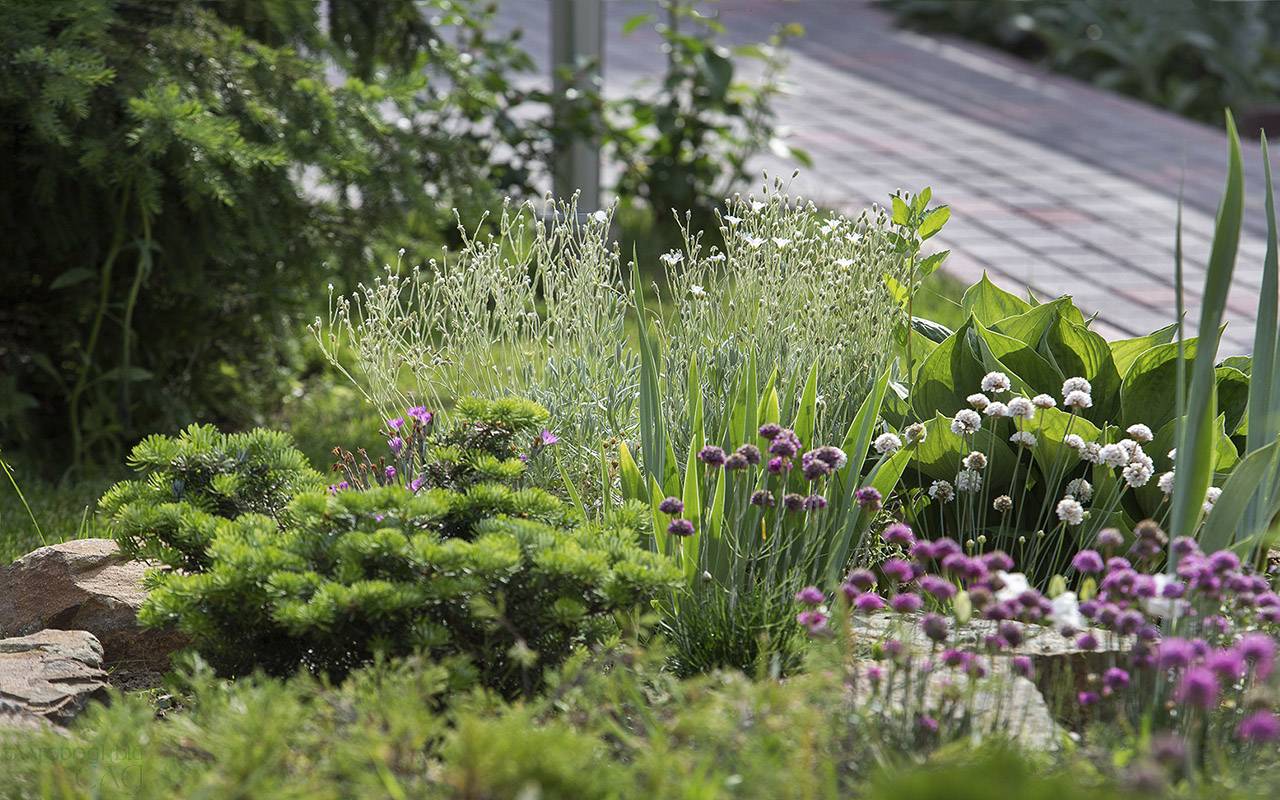 Проект Крекшино